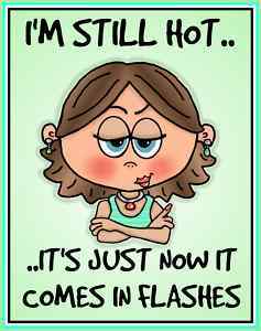 MenopauseExplos's profile picture. Menopause Explosion is a travel company for women and really brave men! We will offer guided destination trips for women who just want to have a little ME time!