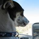 Al Schneider - @othmar454 - Twitter