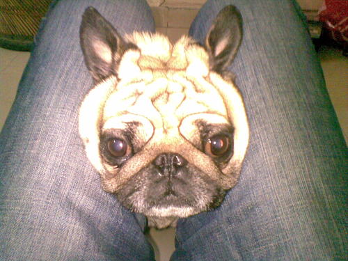 SukhbirGill82's profile picture. 