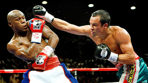 boxing fan foloow