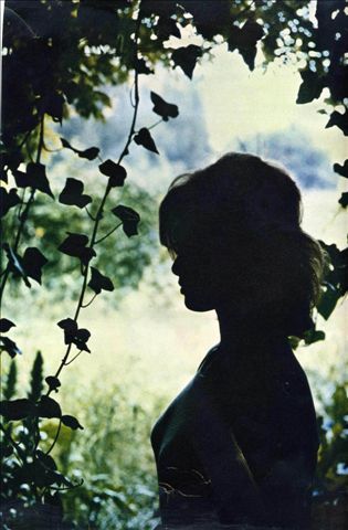 allawa_baqlawa's profile picture. 