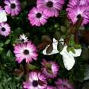 Jenny  Bergman - @Bergman_1989 - Twitter