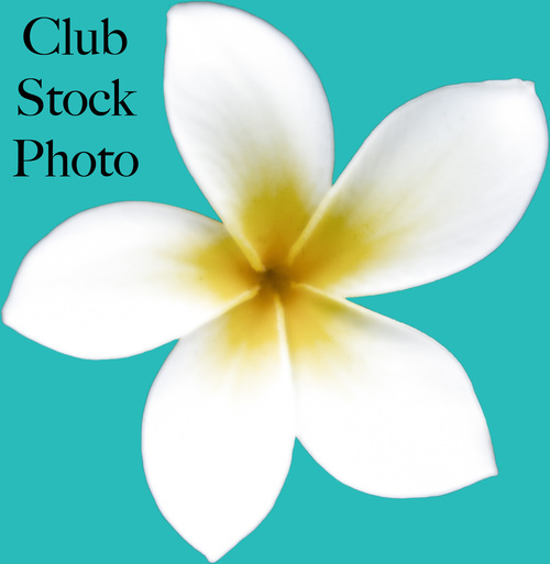Club Stock Photo