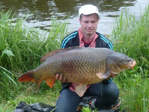 wilbert446's profile picture. 