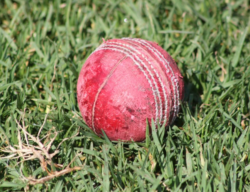 GordonJuniors's profile picture. Gordon Junior Cricket Club on Sydney's lower north shore.