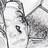 Anie_sy0707's profile image