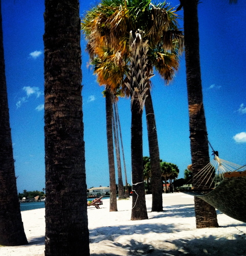 EckerdLifestyle's profile picture. 