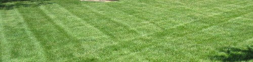 I am the co-owner of Klipper's Lawn Service. I am here to offer a Complete Lawn Service to anyone in the Fort Wayne and surrounding areas.