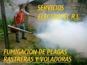 electrotecrl's profile picture. EMPRESA DEDICADA A LA CONTRUCCION Y MANTENIMIENTO DE EDIFICACIONES ALTAMENTE ESPECIALIZADOS EN LAS AREAS DE CONTROL DE PLAGAS,ELECTRICIDAD,TABIQUERIAS,PINTURA,