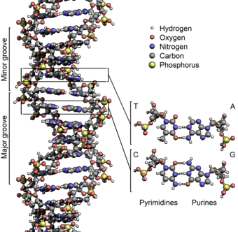 Twitter del Foro Libre de Bioquimica Mexico
http://t.co/G3VZzdH03g