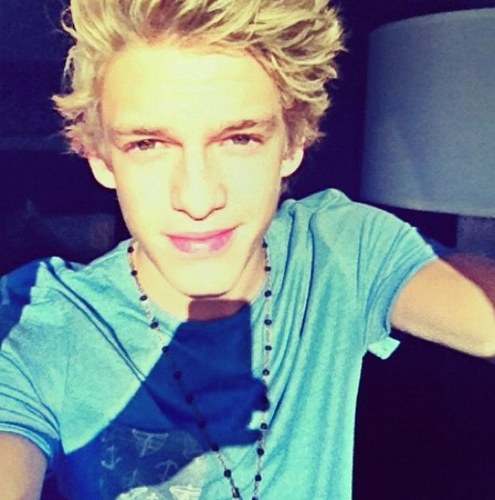 SimpsonsECF's profile picture. I will forever be a Angel & Allinator ⚓ From the Gold Coast to the East Coast, us Angels are the finest! ♥