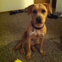 Sara Headley - @sheadley27 - Twitter