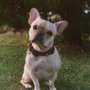 Jena Robinson - @jenalee75 - Twitter