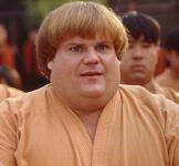 The great white ninja. Protector of the Dojo. Plant waterer. #BeverlyHillsNinja