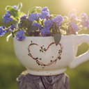 forget me not (@13vicMe) Twitter