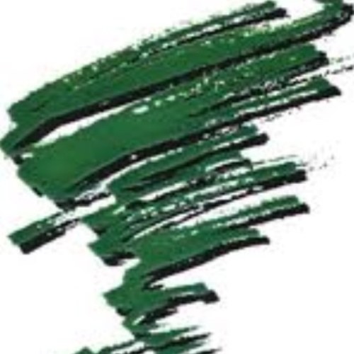 SLTornadoes's profile picture. This Twitter account provides followers with athletic updates and information of the Storm Lake High School Tornadoes! Go Big Green!