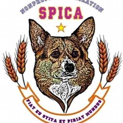 spica ✨ スピカ (@hoshinospica) / X