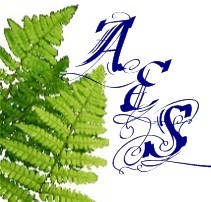 Editng service exclusively to stories written from a Christian worldview.