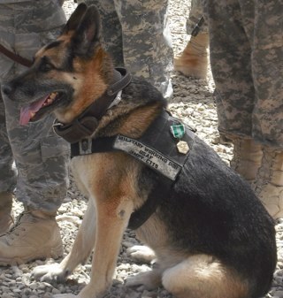 Jpillarella22's profile picture. Im basicaly like Jack Bauer and Chuck Norris all rolled into one.