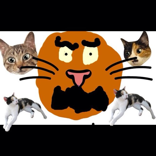 CuntBubble666's profile picture. 