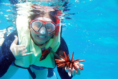 kyangerz's profile picture. 