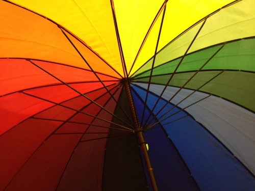 I like bright colours. Looking at the spectrum of stories, unhappy at the rise of dumbing down. Nibble at just about anything.