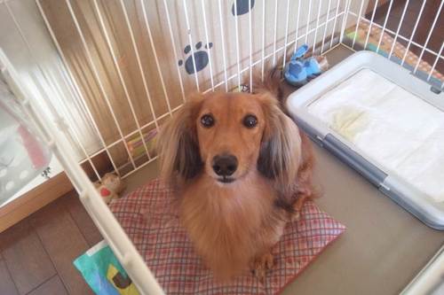 doremidayo's profile picture. 星空が大好き♪／ネイル／／洋服／動物／ディズニー／音楽／海／植物／夏の高校野球／サッカー　神社、お寺、教会　笑う門にゎ福来るぅ♬　パートのおばちゃまなのに多忙