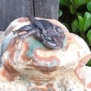 Rex McDaniel - @RexMcDaniel - Twitter