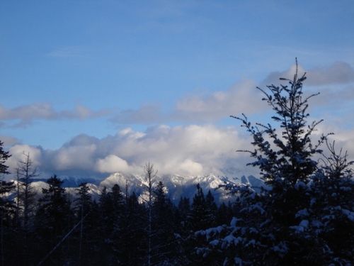 moknows_99's profile picture. 