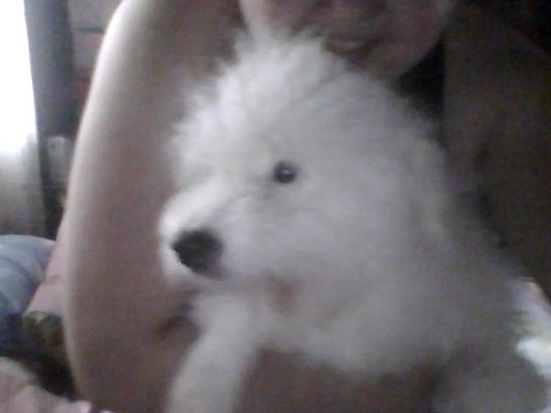 kkrechba's profile picture. I'm just so interested in meeting people...