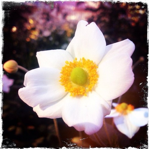 Fembot99's profile picture. 