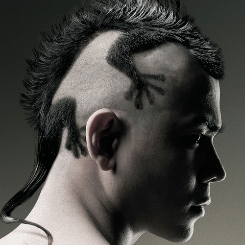 scipao's profile picture. 