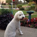 JERI  REED-RIDER - @mildredbuckle - Twitter