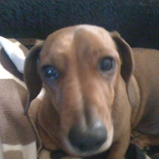 Andrew121uk's profile picture. 