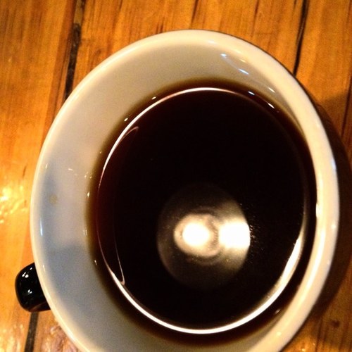 Qathra's profile picture. 