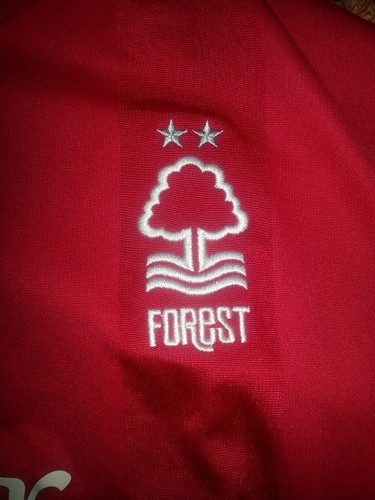Forest fanatic, great family , proud grandad to Luke and Olivia season ticket holder BC upper.