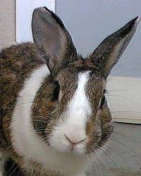 ukimapc's profile picture. パソコン修理歴27年
メーカー・量販店より 早い！ 安い！
PC診断4000台を超えました！
パソコン修理 即日～3日（日・祝休）
PC組立　PC代理購入　初期整備
データ救出　動画制作
電子工作・家電修理暦54年