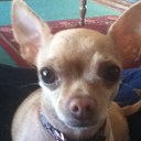 Tracey Strickland - @TraceyStrickla1 - Twitter