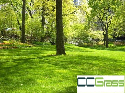 CC Grass is a leading online artificial grass supplier that offers you artificial turfs for sports, landscapes and lawn areas.