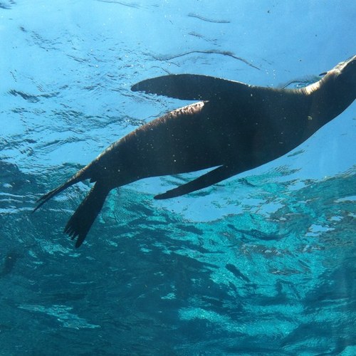 osowski_lisa's profile picture. 