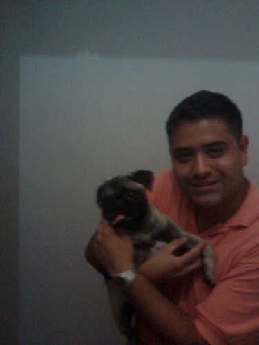 sebas198819's profile picture. 