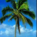 Nancy Palmieri - @nancy_palmieri - Twitter