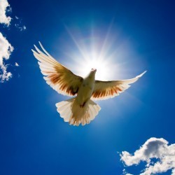 FuneralsGuide's profile picture. Your #Guide to #Funeral #Arrangements : #Funeral #Planning, #Funeral #Homes