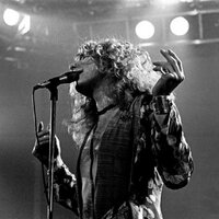 lez zeppelin (@lezzep) 's Twitter Profile