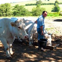 paysanheureux (@paysanheureux1) 's Twitter Profile Photo