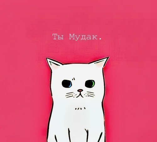 JuljaLta's profile picture. 