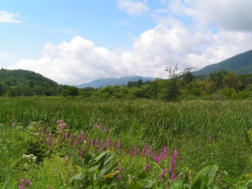 I'm a retired educator of 38 years, who is finally back into walking and hiking after a long hiatus.