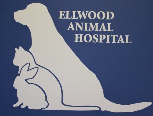 Ellwood Animal Hosp
