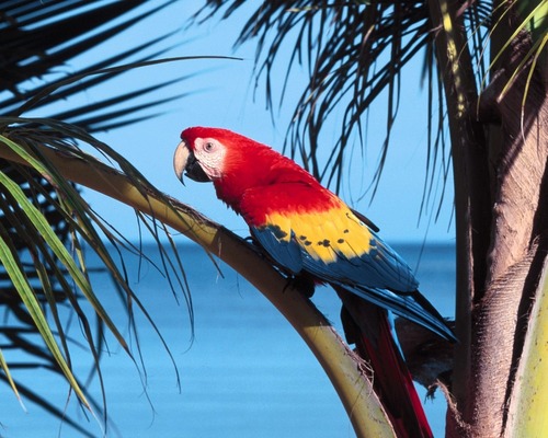 malimbusindia's profile picture. newbie in mlm and network marketing and internet marketing - looking for trainer / teacher http://t.co/ChJ1PBNF5o