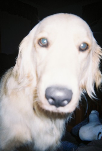 patrickmimalone's profile picture. 